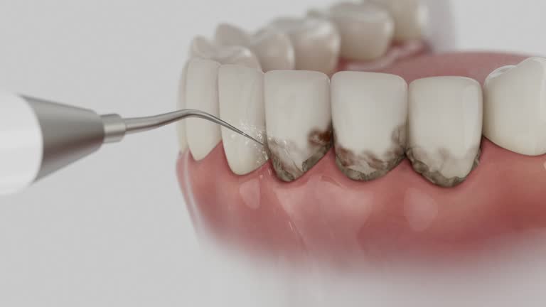 Reliable Dental contractor in Minot AFB, ND by Dentist Open Now